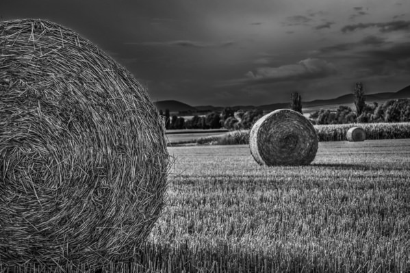 Photograph Raju Khan Roll on One Eyeland