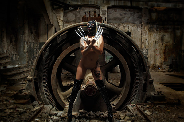 Photograph John Tsilidis Wolverine on One Eyeland