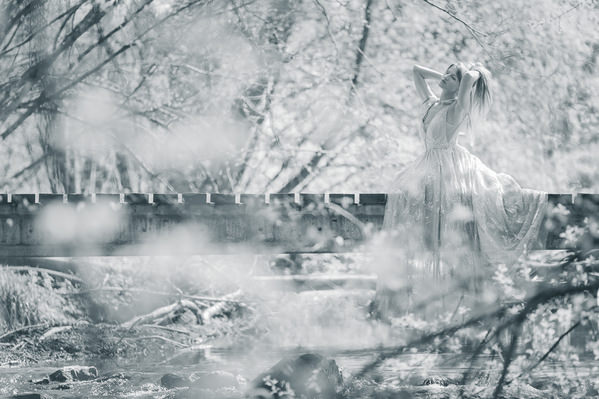 Photograph Thierry Smets Le Pont on One Eyeland