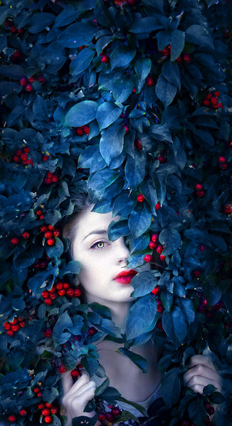 Photograph Michele Taras Eye In The Berries on One Eyeland