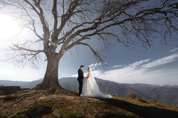 Photograph Soheil Soheili A Romance Under The Lone Tree on One Eyeland