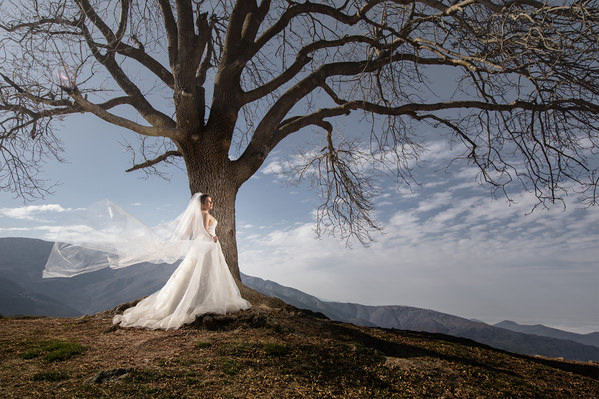 Photograph Soheil Soheili A Romance Under The Lone Tree 3 on One Eyeland