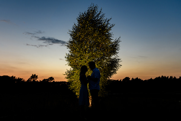 Photograph Edward Hollander Will You Marry Me on One Eyeland