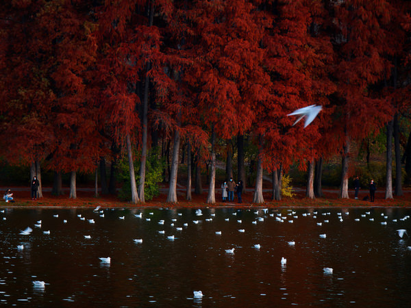 Photograph Marius Surleac By The Lake on One Eyeland