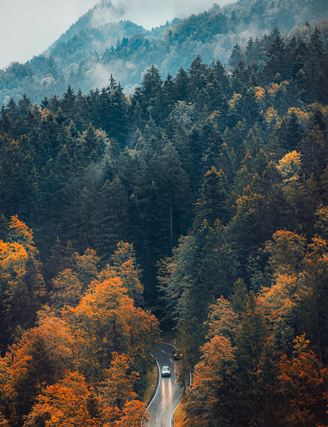 Photograph Sayed Ahmed Pallab An Autumn Drive on One Eyeland