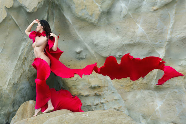 Photograph Roberto Manetta Red Butterfly on One Eyeland