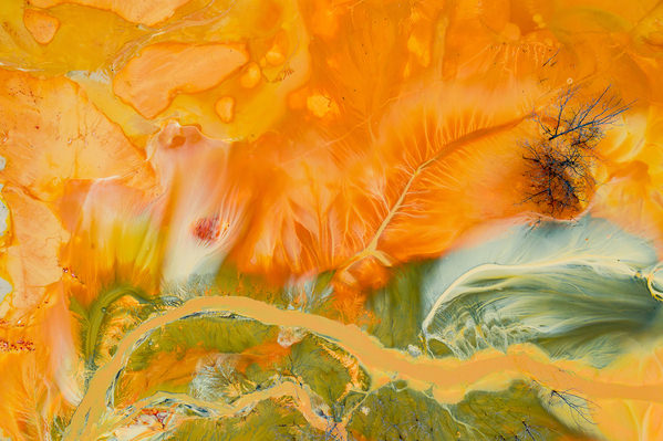 Photograph George Bufan Toxic Colours on One Eyeland