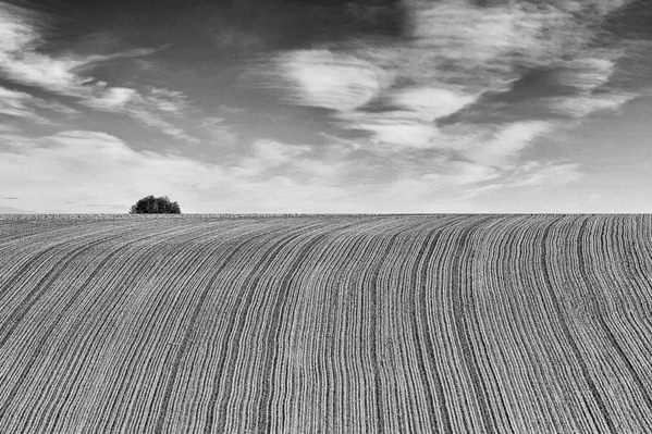 Photograph Ilija Stanusic Slavonia Fields on One Eyeland