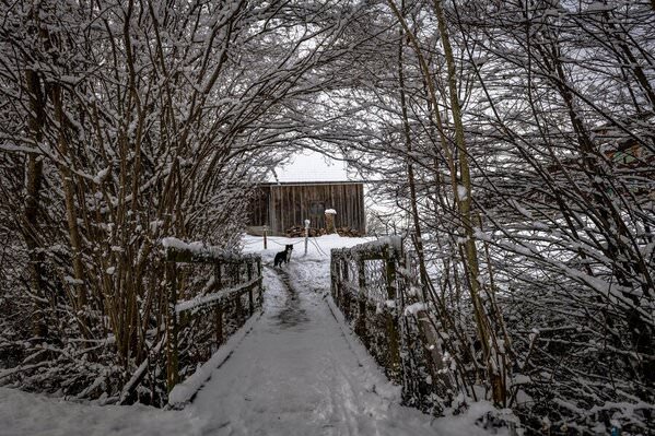 Photograph Thomas Gutschi Snowbridge on One Eyeland
