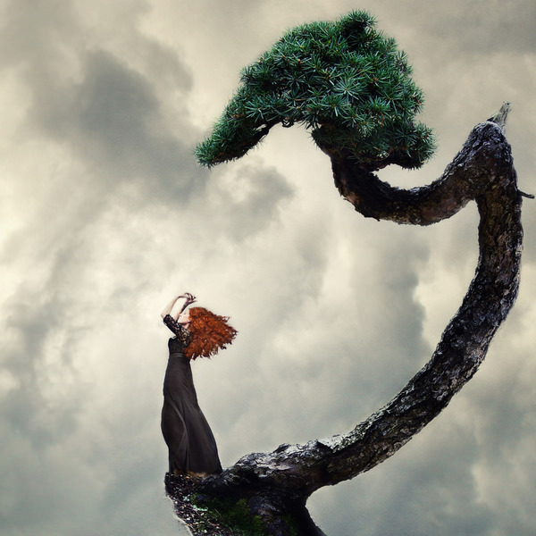 Photograph Mandy Hady Schulte Above on One Eyeland