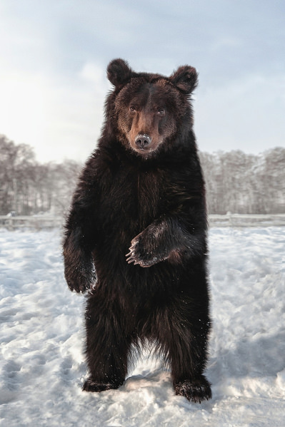 Photograph Olga Burmistrova Greetings From Siberia on One Eyeland
