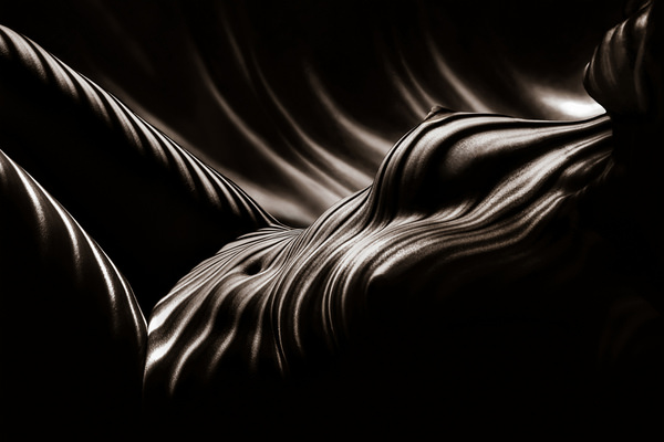Photograph Kristian Liebrand Zebra Art Work Painted By The Lights on One Eyeland