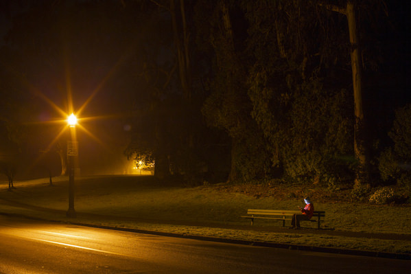 Photograph Woods Wheatcroft Midnight Media on One Eyeland