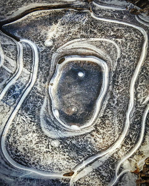 Photograph Larry Hamill Ice Study Blacklick Creek on One Eyeland