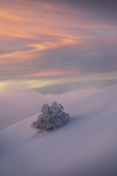 Photograph Davide Giannetti Winter Details on One Eyeland
