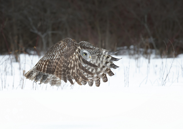 Photograph Tin Sang Chan Take Off on One Eyeland