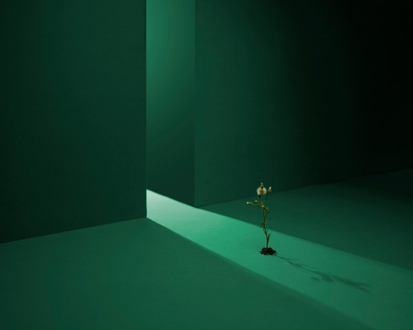 Photograph Danny Eastwood Scenes From Isolation Iii on One Eyeland