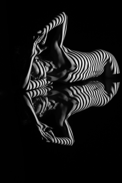 Photograph Lustre Photoproduction Zebra on One Eyeland