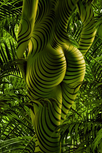 Photograph Kristian Liebrand Jungle Heart  Wild Life on One Eyeland
