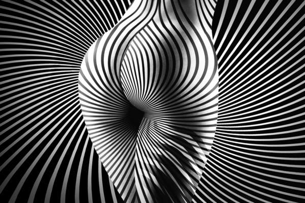 Photograph Kristian Liebrand Zebra Body Art Excenter on One Eyeland