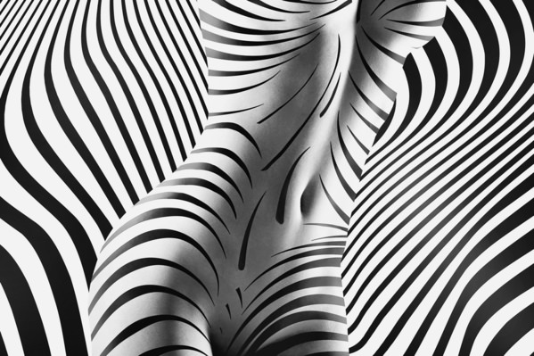 Photograph Kristian Liebrand Zebra Body Art  Lines And Curves on One Eyeland