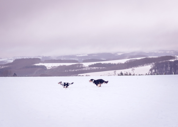 Photograph Mike Kremer The Chase on One Eyeland