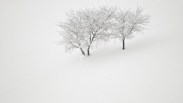 Photograph Alexandru Crisan Stay Together on One Eyeland