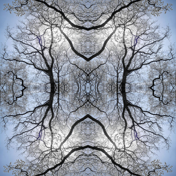 Photograph Guy Kleinblatt Nature In The Spring on One Eyeland