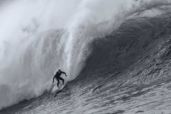 Photograph Steve Turner Fearless on One Eyeland