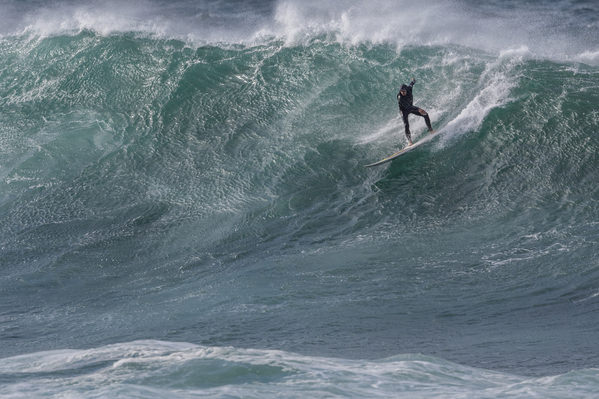 Photograph Steve Turner Wind Swept on One Eyeland