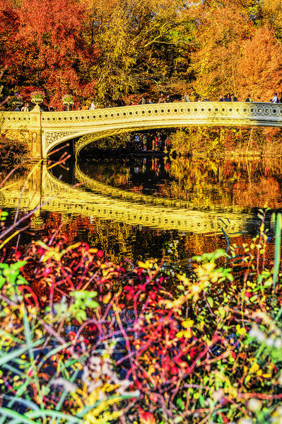 Photograph Mitchell Funk Bow Bridge In Golden Light on One Eyeland