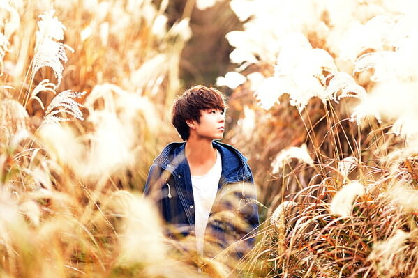 Photograph Daiki Fujiwara Golden Field on One Eyeland