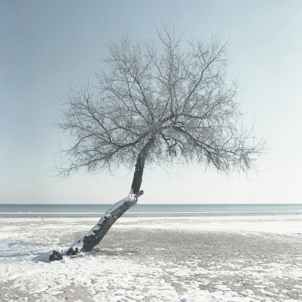 Photograph Alexandru Crisan Loneliness on One Eyeland