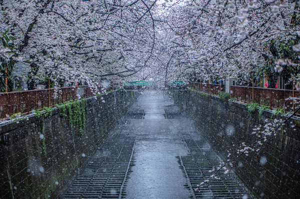 Photograph Setsuna Kurouzu Unseasonable Snow on One Eyeland