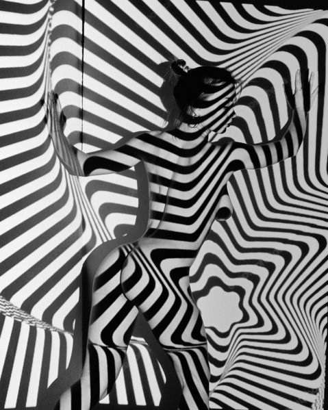 Photograph Max Solve Zebra on One Eyeland