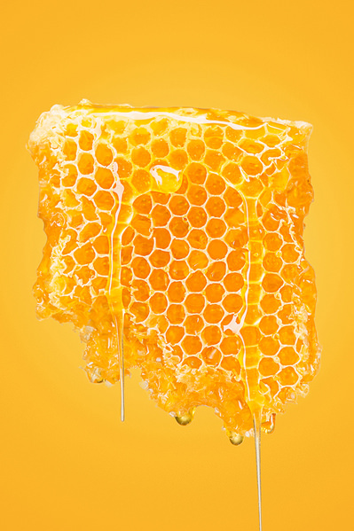 Photograph Lustre Photoproduction Honey on One Eyeland