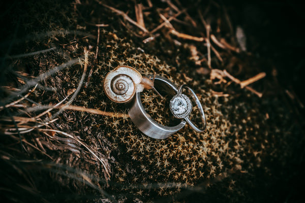 Photograph Mischa Baettig Snail On The Ring on One Eyeland