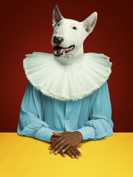 Photograph Lustre Photoproduction Dog Portrait on One Eyeland