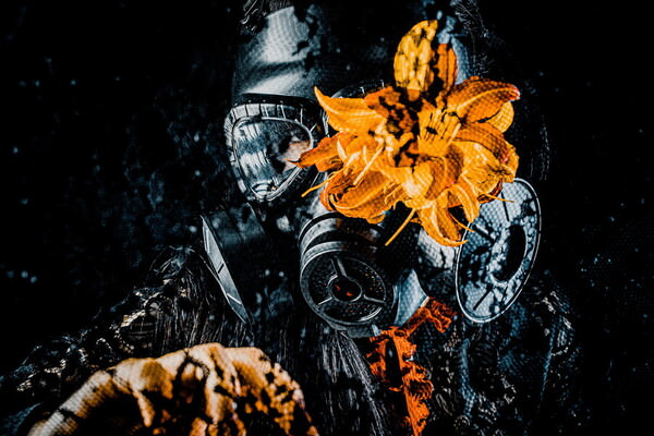 Photograph Daiki Fujiwara Flower Of Sorrow on One Eyeland