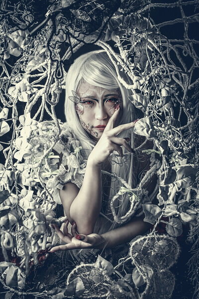Photograph Daiki Fujiwara White Forest Witch on One Eyeland