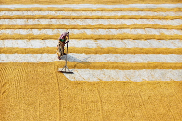 Photograph Dibakar Roy Golden Lines on One Eyeland