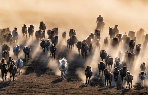 Photograph Kok Tien Sang Sky Warrior on One Eyeland