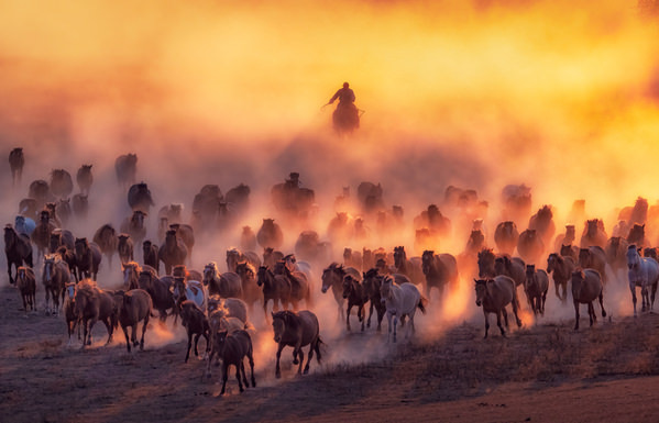 Photograph Kok Tien Sang Galloping on One Eyeland