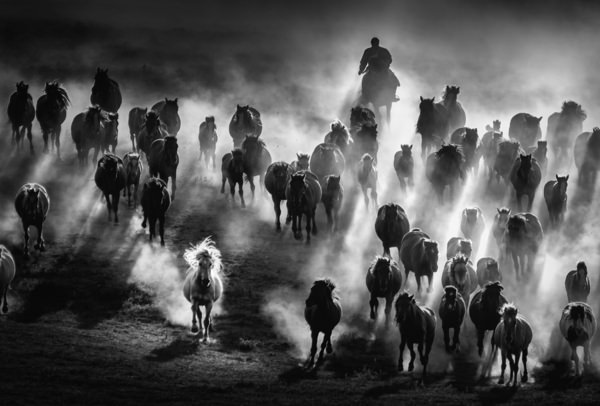 Photograph Kok Tien Sang Galloping on One Eyeland