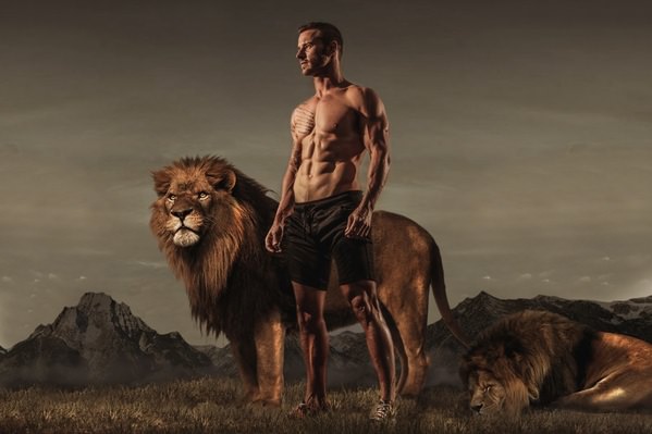 Photograph Pieter Pieters Lion Pride on One Eyeland