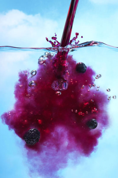 Photograph Jonathan Knowles Robinsons Berries on One Eyeland
