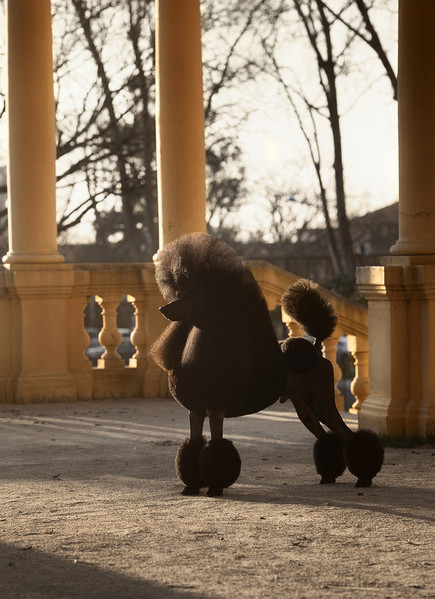 Photograph Alexandre Marques Ali on One Eyeland