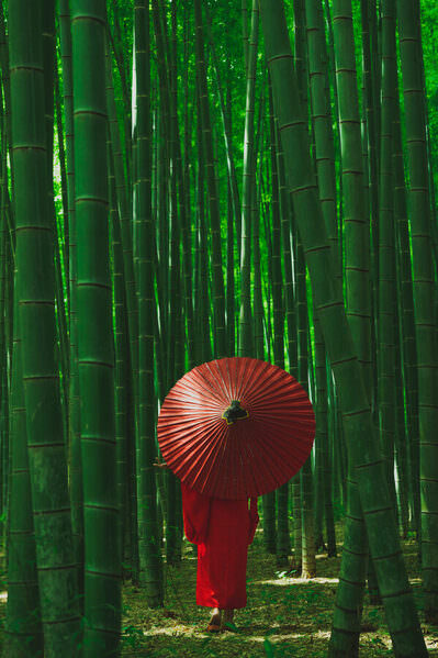 Photograph Edogawa Sampo Red In Bamboo Forest on One Eyeland