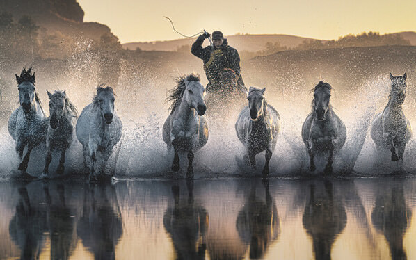 Photograph Kok Tien Sang Galloping on One Eyeland