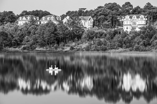 Photograph Do Trong Danh Lovely Couple on One Eyeland